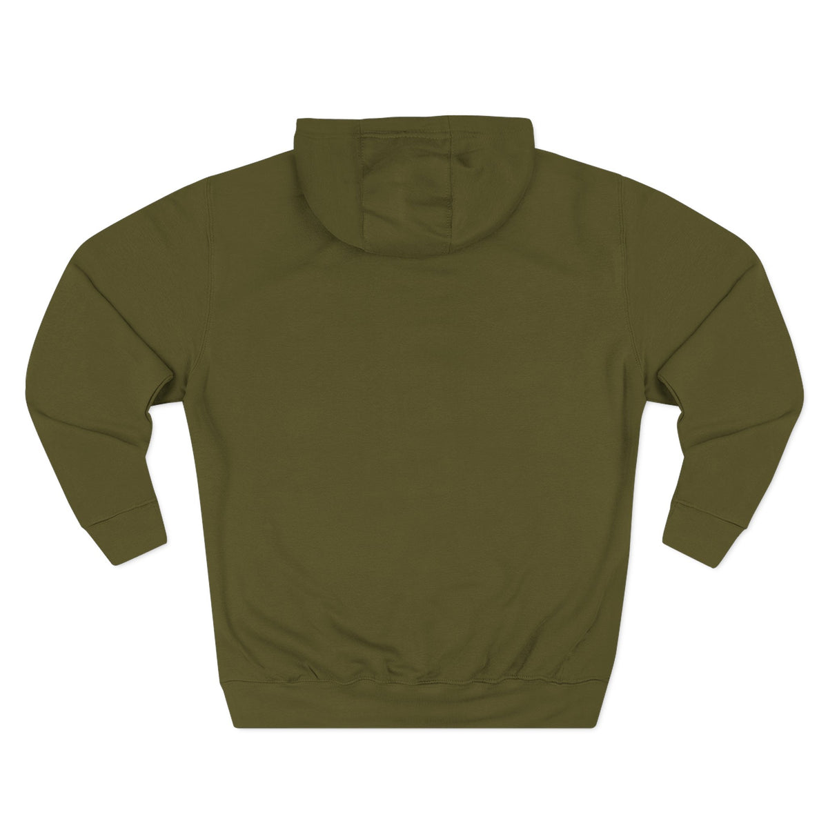 Frannie's varsity hoodie in Army Green: back view