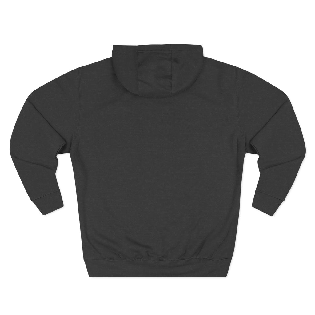 Frannie's varsity hoodie in Charcoal Heather: back view