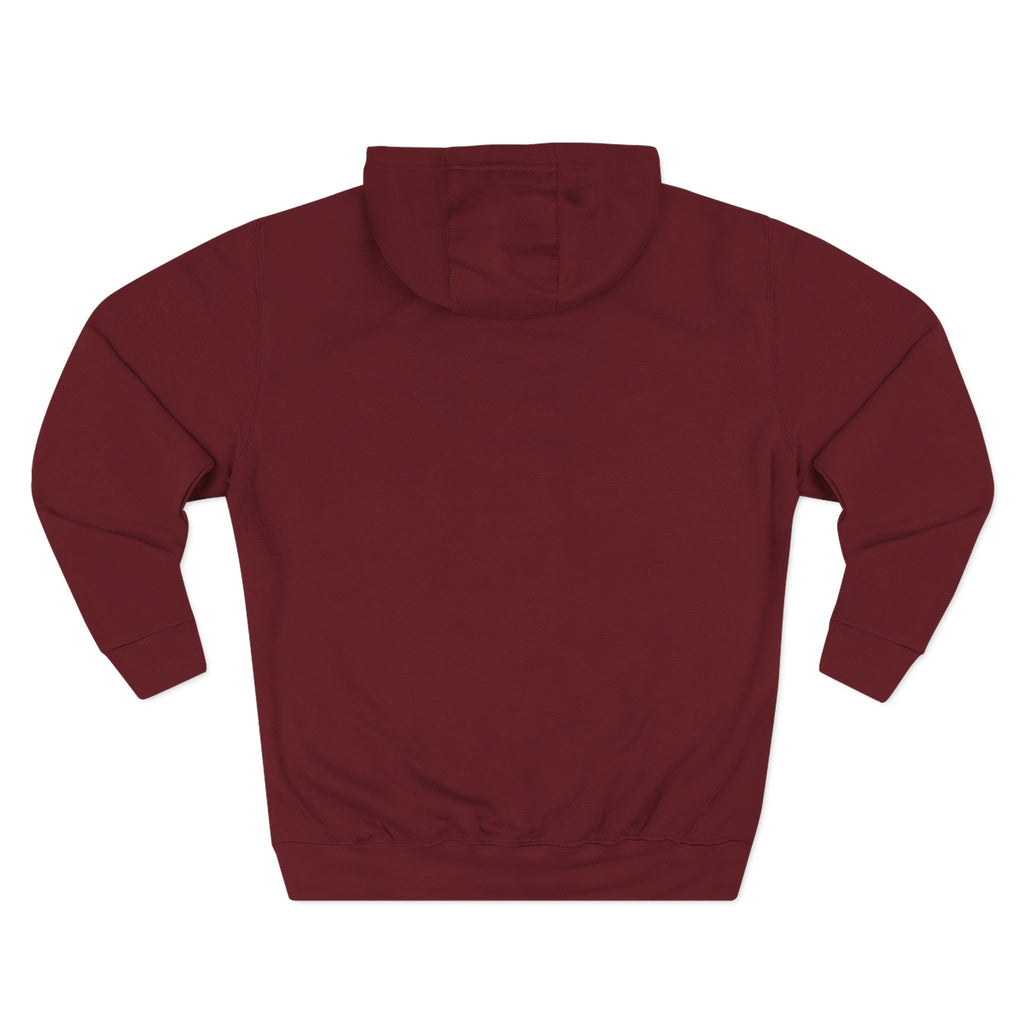 Frannie's varsity hoodie in Burgundy: back view