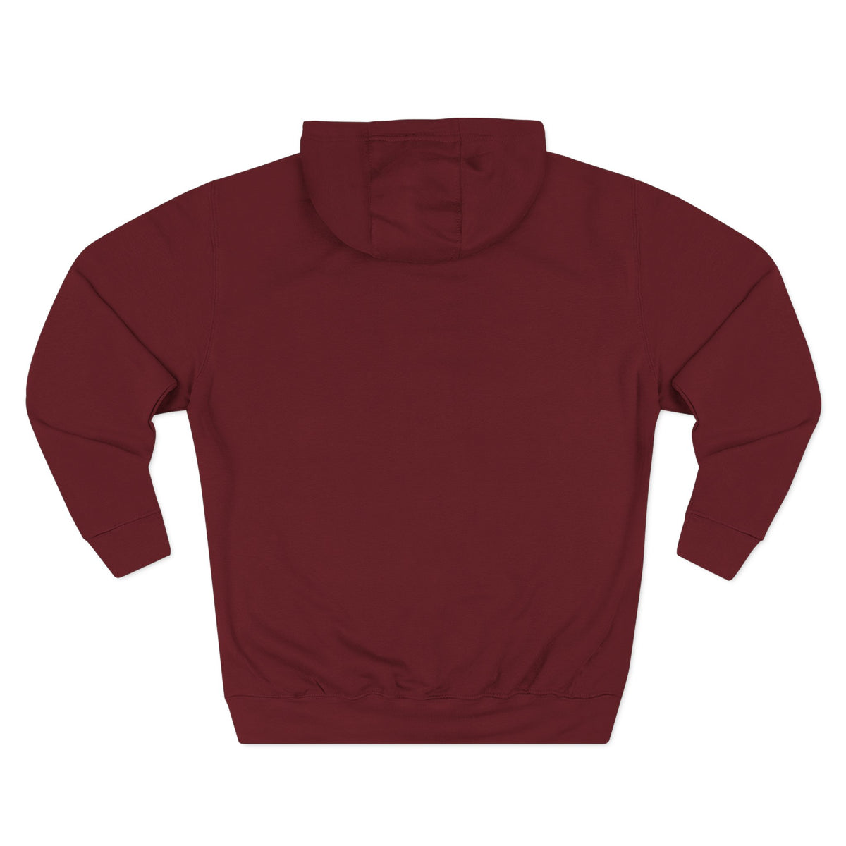 Frannie's varsity hoodie in Burgundy: back view