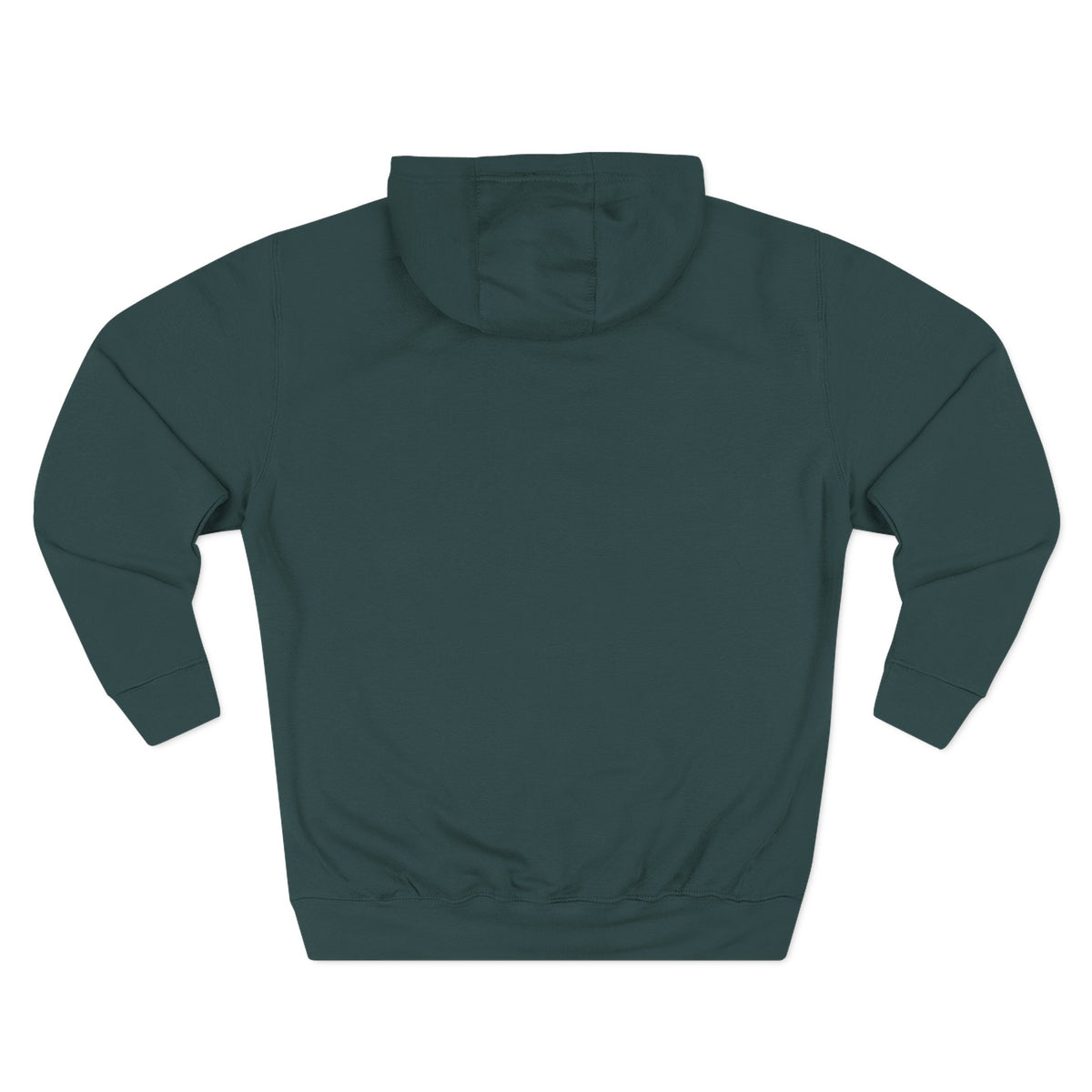 Frannie's varsity hoodie in Sports Green: back view