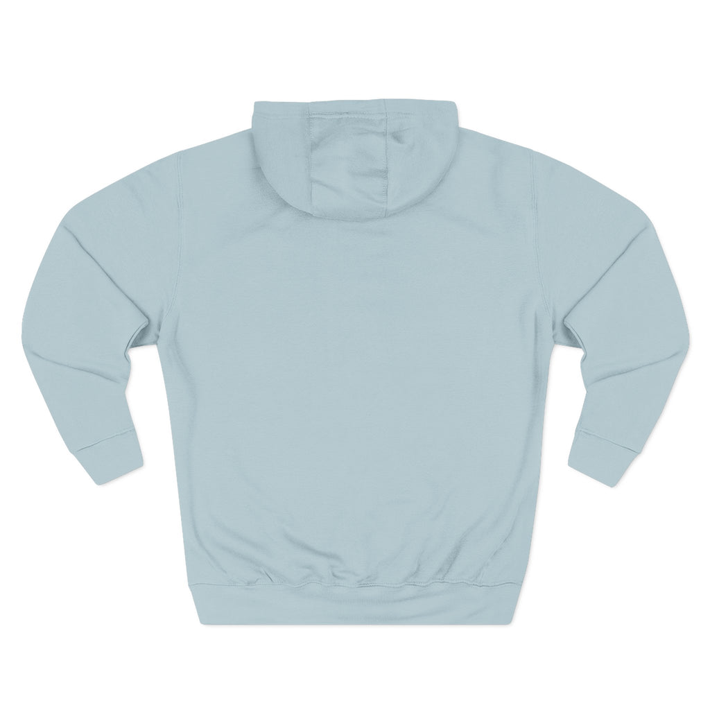 Frannie's varsity hoodie in Blue Mist: back view