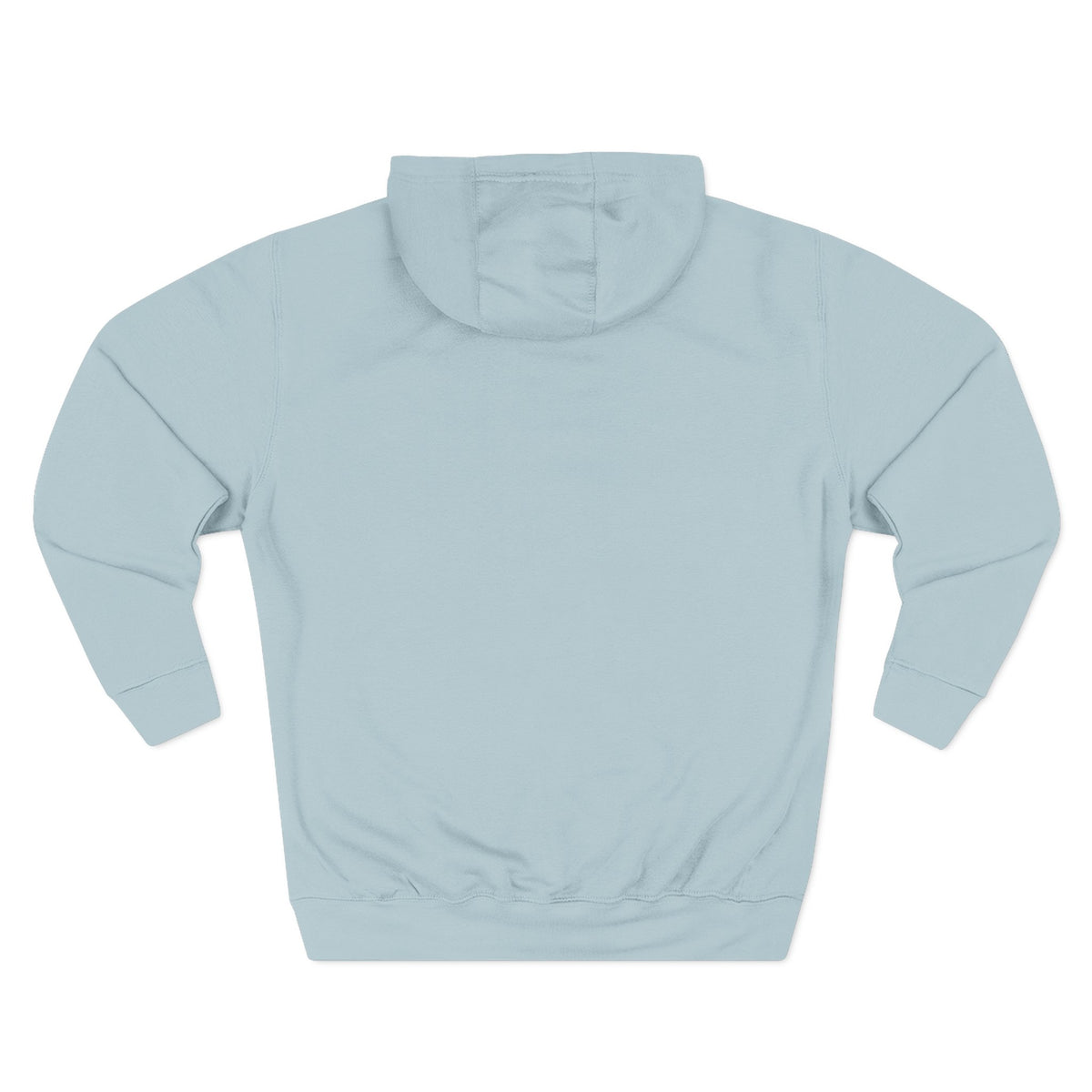Frannie's varsity hoodie in Blue Mist: back view