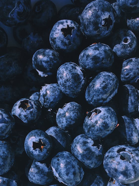 Fresh blueberries, close up